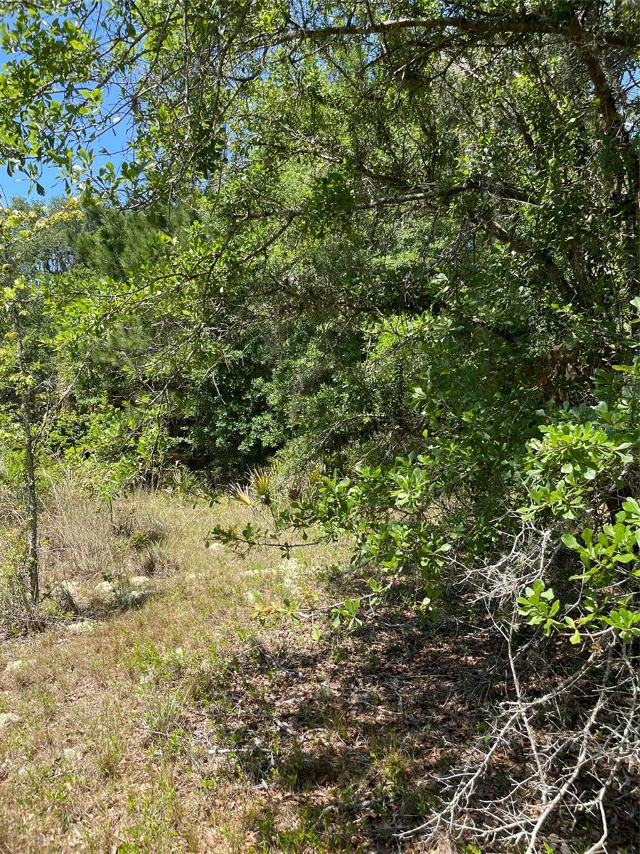 SURVEYORS BLUEPRINT SKETCH UNREC - Land