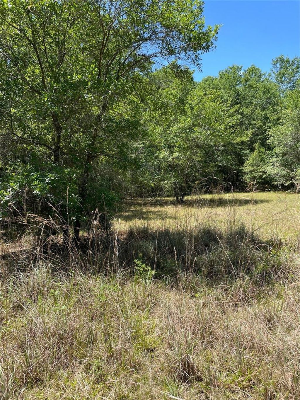 Photo of 9368 E Riveroak Lane, Inverness, FL 34453 (MLS # U8160028)