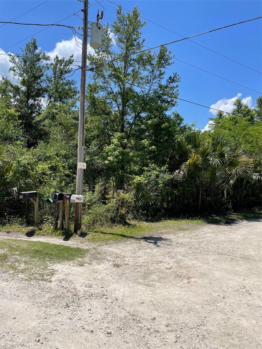 SURVEYORS BLUEPRINT SKETCH UNREC - Land