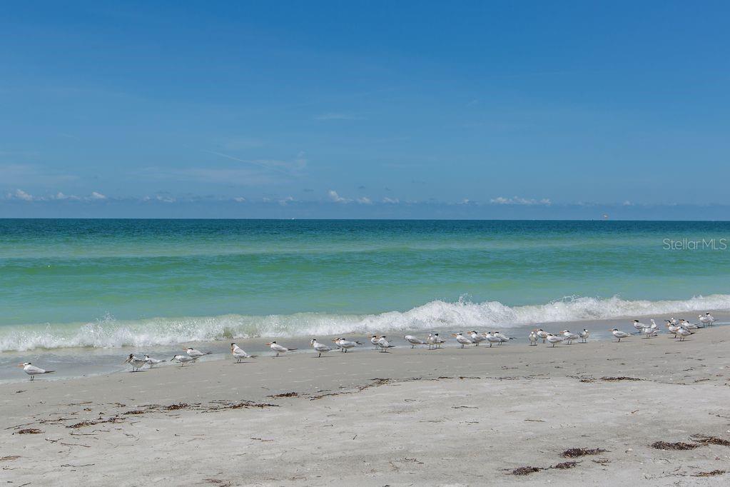 HARBOURSIDE AT MARKER 33 VACATION CONDO - Residential