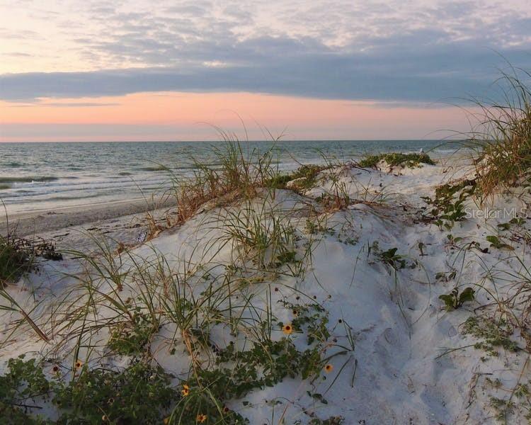 HARBOURSIDE AT MARKER 33 VACATION CONDO - Residential