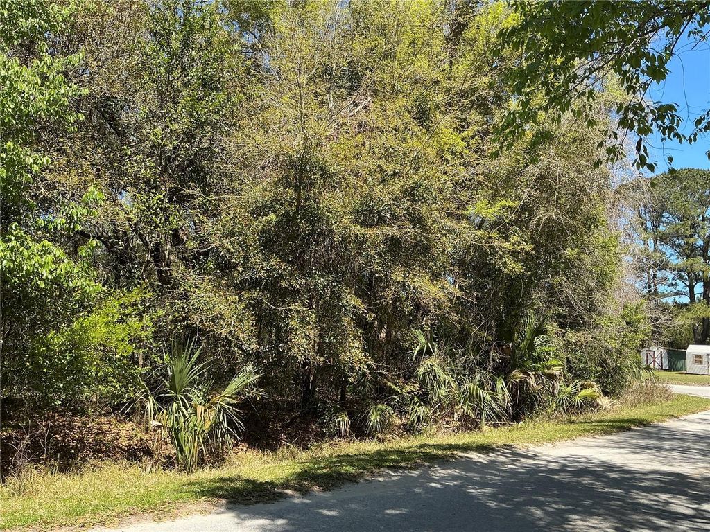 Photo of 0 SE 139th Lane, Summerfield, FL 34491 (MLS # OM711711)