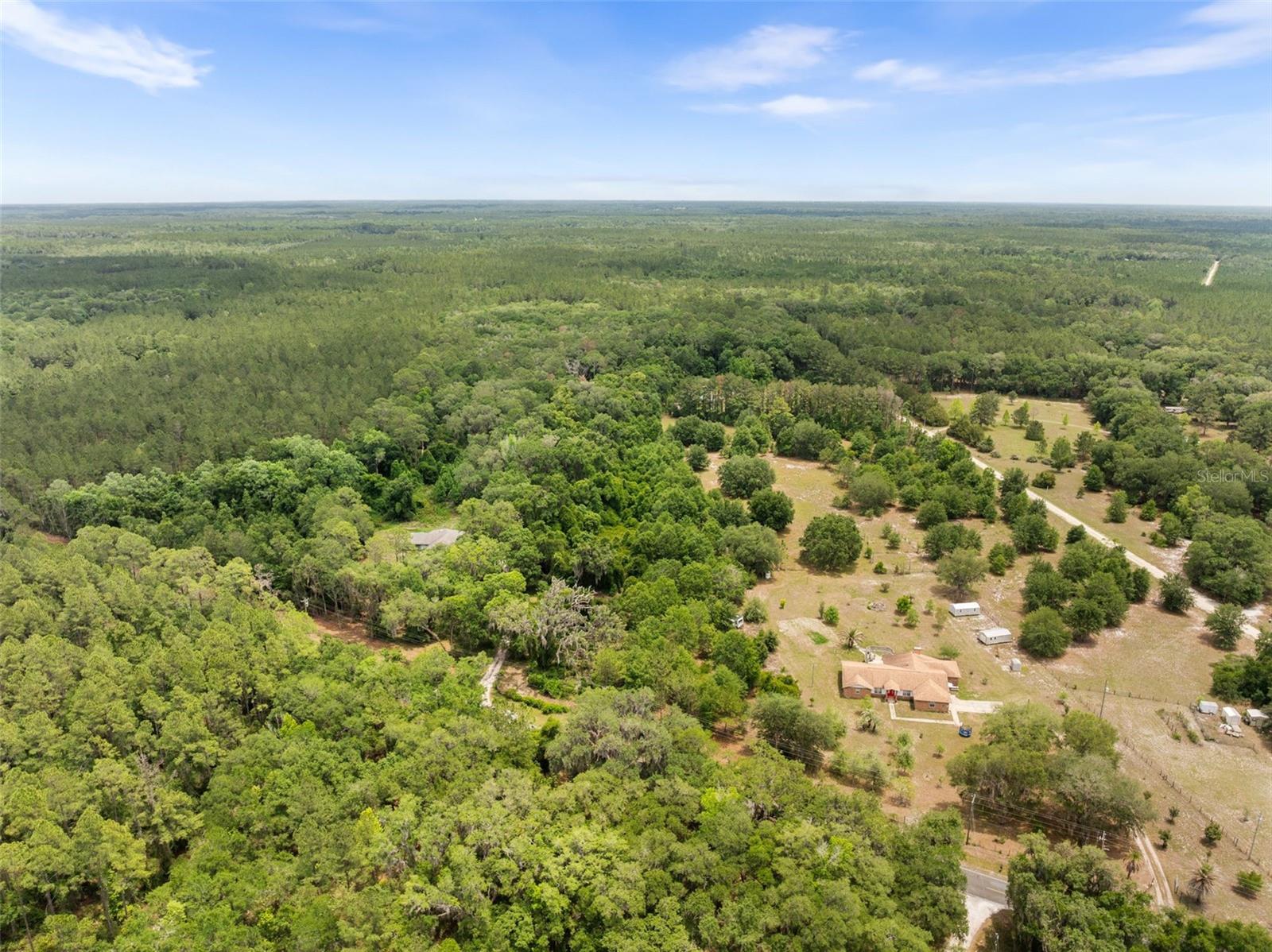 2919 SE COUNTY ROAD 234