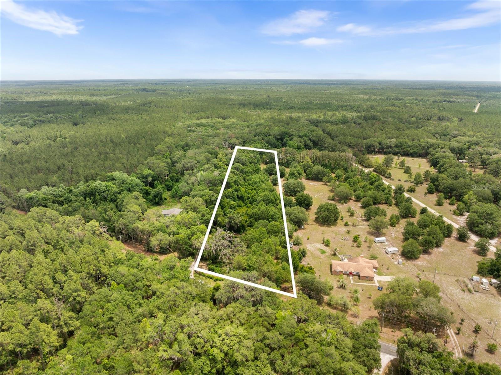 2919 SE COUNTY ROAD 234