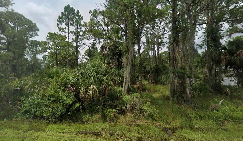 Photo of 14116 Cain Avenue, Port Charlotte, FL 33953 (MLS # TB8504787)