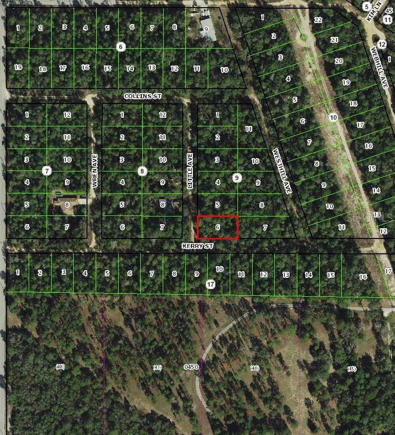 Photo of 306 Little Avenue, Inverness, FL 34452 (MLS # TB8520898)