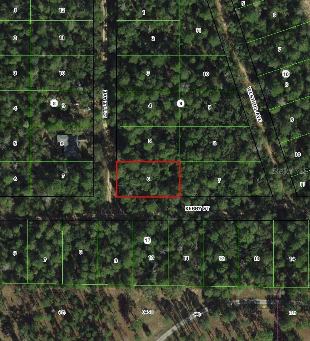 Photo of 306 Little Avenue, Inverness, FL 34452 (MLS # TB8520898)