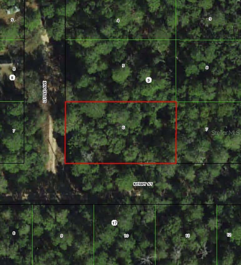 Photo of 306 Little Avenue, Inverness, FL 34452 (MLS # TB8520898)