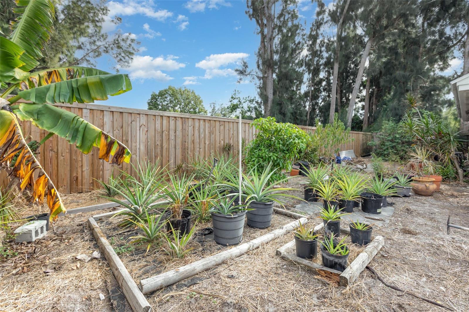 CALBERT-HAUSER - Residential