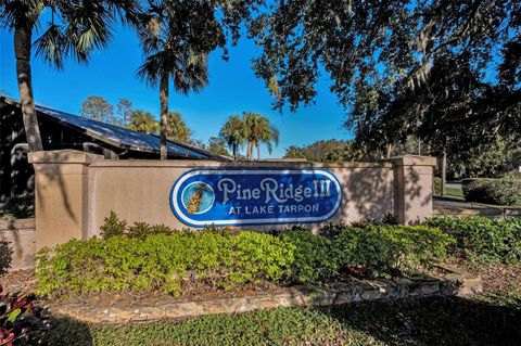 A home in TARPON SPRINGS