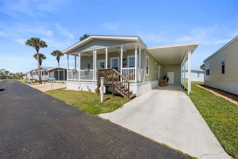 A home in FLAGLER BEACH