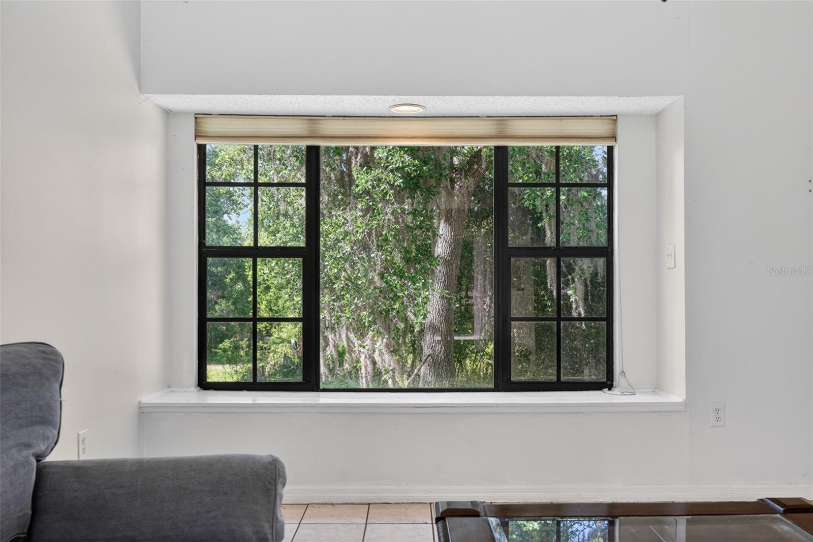 MYAKKA VALLEY RANCHES - Residential