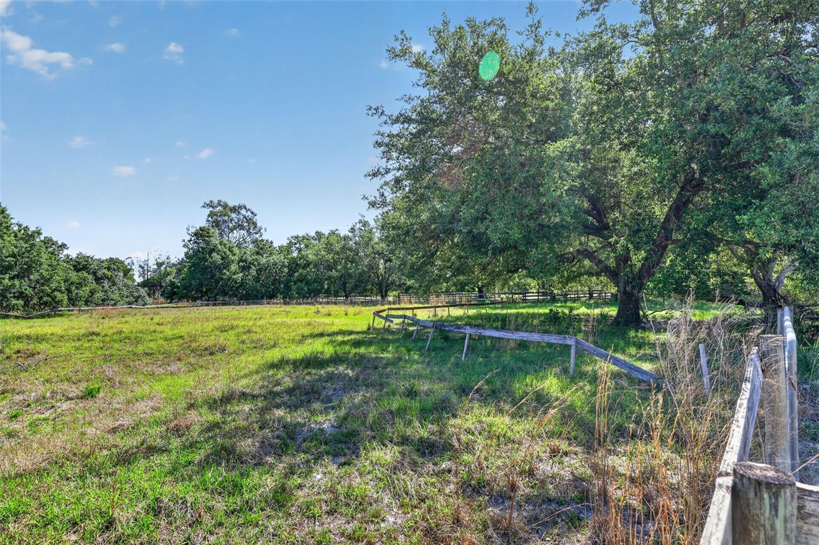 MYAKKA VALLEY RANCHES - Residential