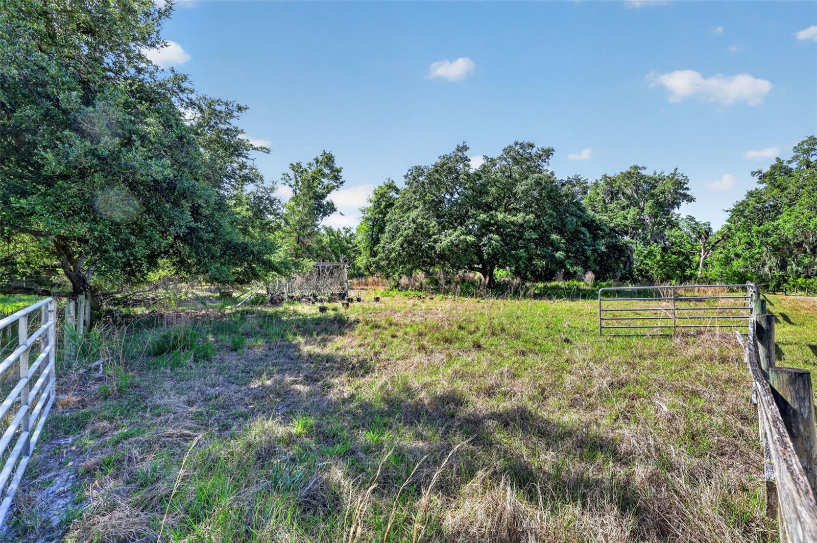 MYAKKA VALLEY RANCHES - Residential