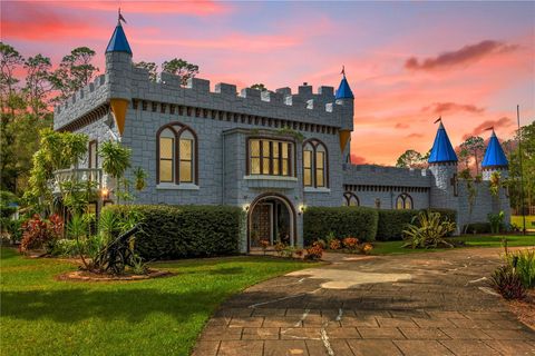 14502 SCOTCH PINE COURT ORLANDO FL 32832