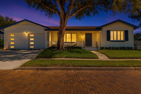 1217 E AMELIA STREET ORLANDO FL 32803