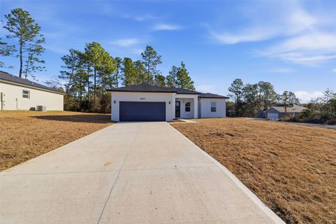 Tiny photo for 8041 N Pickinz Way, Citrus Springs, FL 34433 (MLS # O6385154)