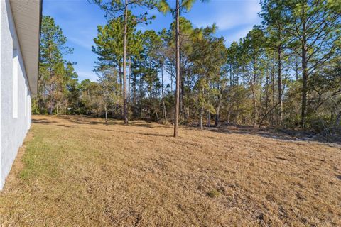 Tiny photo for 8041 N Pickinz Way, Citrus Springs, FL 34433 (MLS # O6385154)