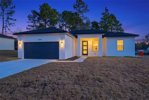 Tiny photo for 8041 N Pickinz Way, Citrus Springs, FL 34433 (MLS # O6385154)
