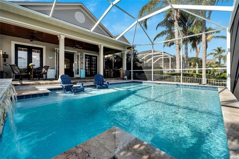 A home in APOLLO BEACH