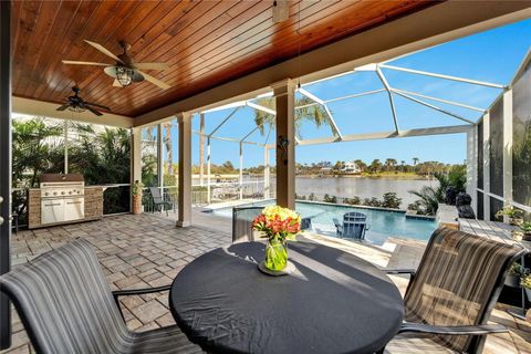 A home in APOLLO BEACH