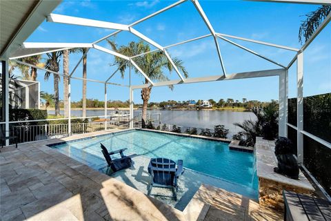 A home in APOLLO BEACH