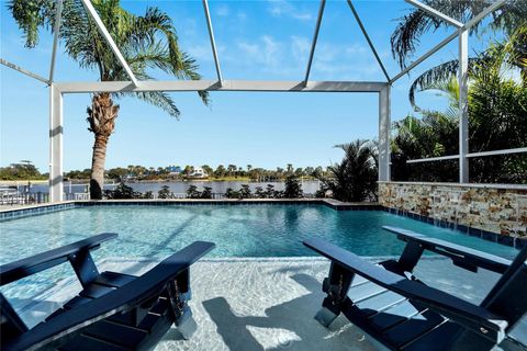 A home in APOLLO BEACH