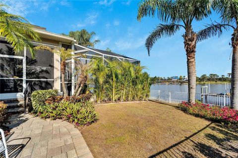 A home in APOLLO BEACH