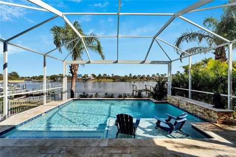 A home in APOLLO BEACH