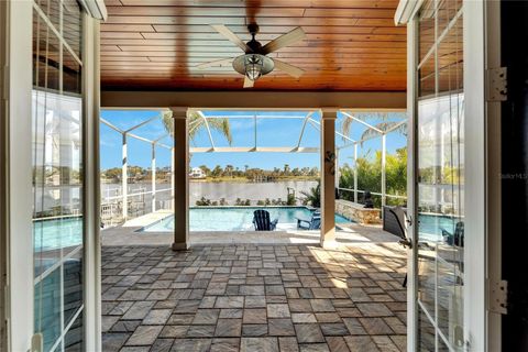 A home in APOLLO BEACH