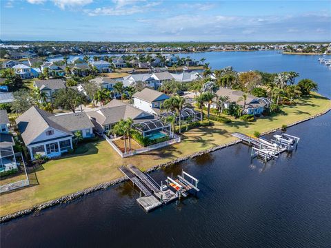 A home in APOLLO BEACH