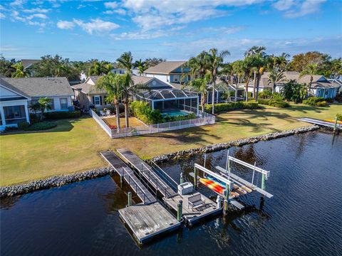 A home in APOLLO BEACH