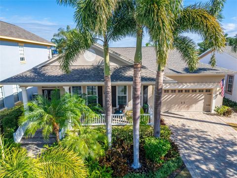 A home in APOLLO BEACH