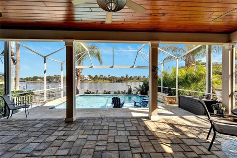 A home in APOLLO BEACH