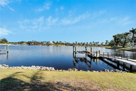 A home in APOLLO BEACH