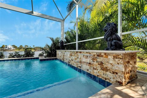 A home in APOLLO BEACH