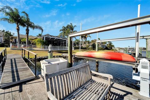 A home in APOLLO BEACH