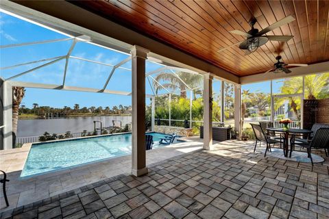 A home in APOLLO BEACH