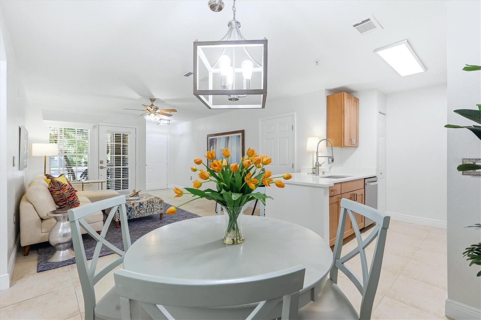 THE VILLAGE AT TOWNPARK - Residential