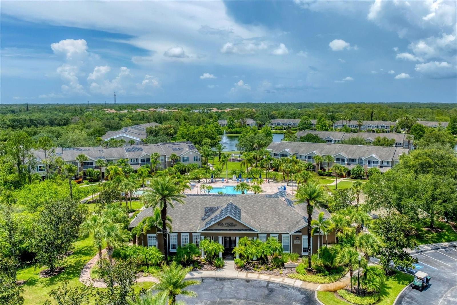 THE VILLAGE AT TOWNPARK - Residential