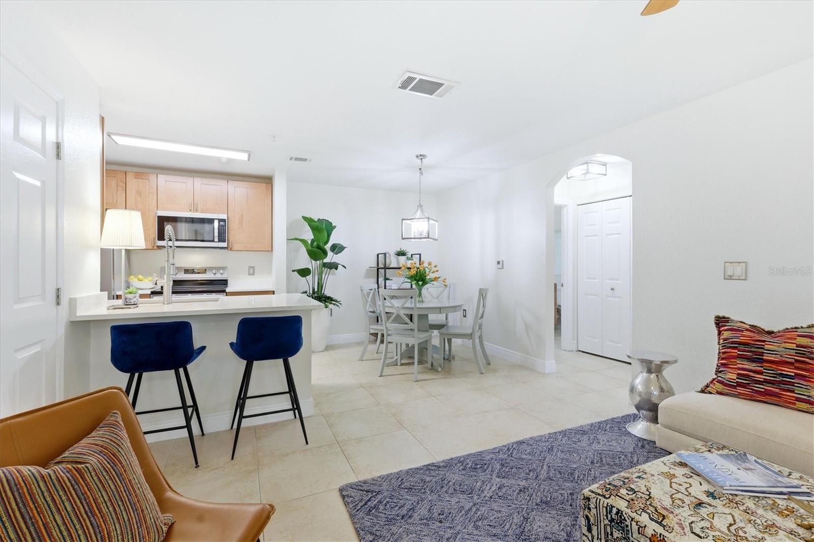 THE VILLAGE AT TOWNPARK - Residential