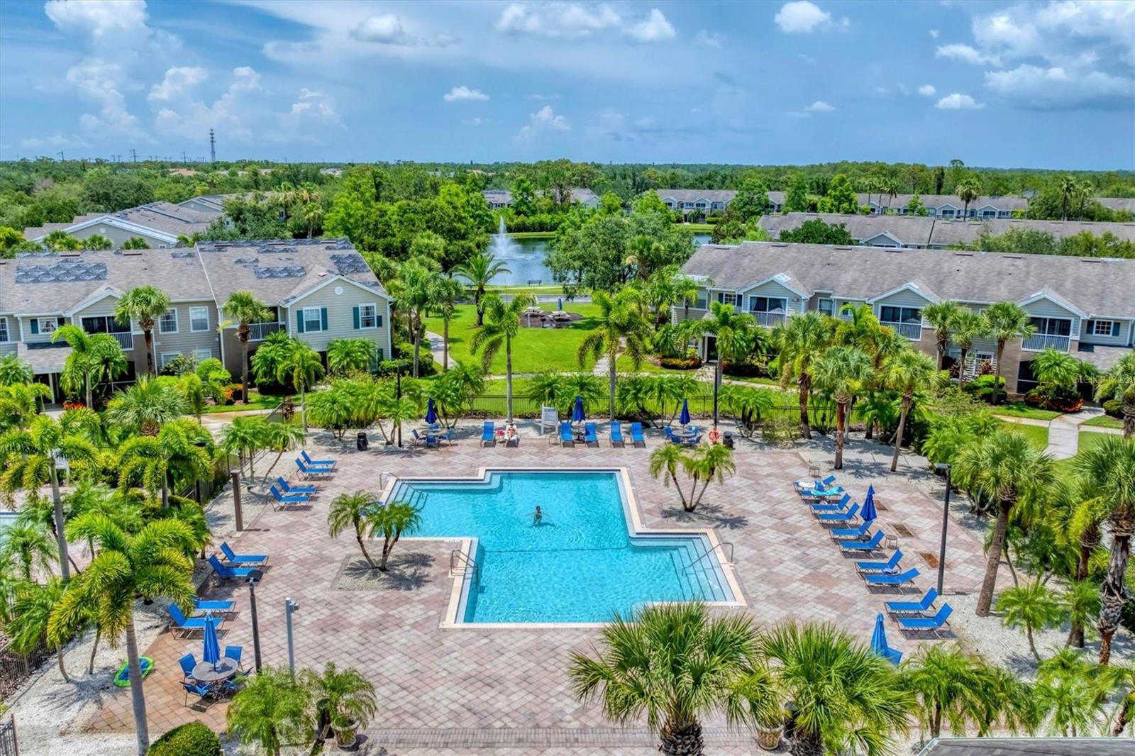 THE VILLAGE AT TOWNPARK - Residential