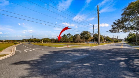 Tiny photo for Woodlea Road, Tavares, FL 32778 (MLS # O6295703)