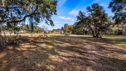 Tiny photo for Woodlea Road, Tavares, FL 32778 (MLS # O6295703)