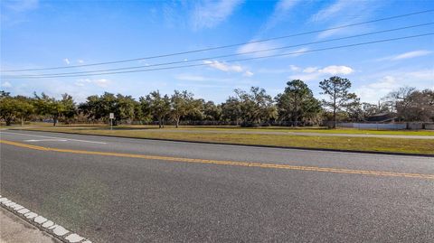 Tiny photo for Woodlea Road, Tavares, FL 32778 (MLS # O6295703)