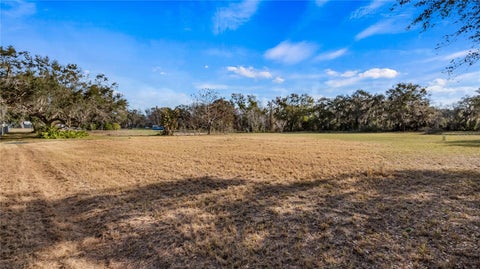 Tiny photo for Woodlea Road, Tavares, FL 32778 (MLS # O6295703)