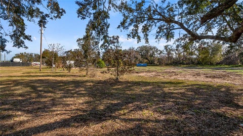 Tiny photo for Woodlea Road, Tavares, FL 32778 (MLS # O6295703)
