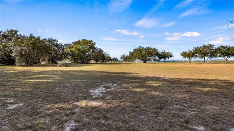 Tiny photo for Woodlea Road, Tavares, FL 32778 (MLS # O6295703)