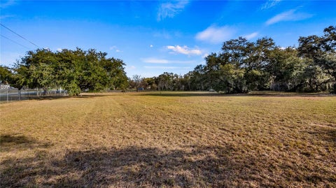 Tiny photo for Woodlea Road, Tavares, FL 32778 (MLS # O6295703)