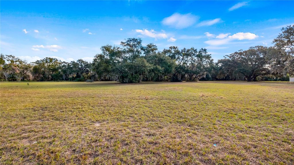 Photo of Woodlea Road, Tavares, FL 32778 (MLS # O6295703)